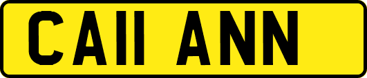 CA11ANN