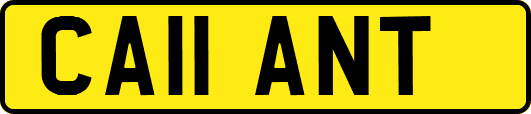 CA11ANT