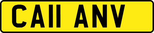 CA11ANV
