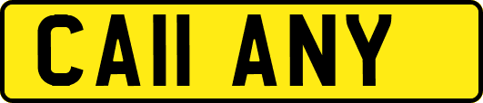 CA11ANY