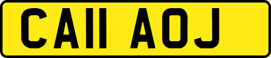 CA11AOJ
