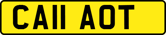 CA11AOT