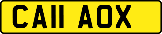 CA11AOX