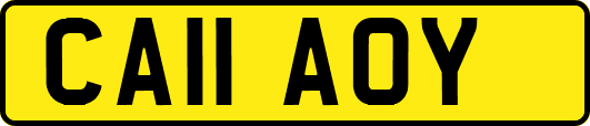CA11AOY