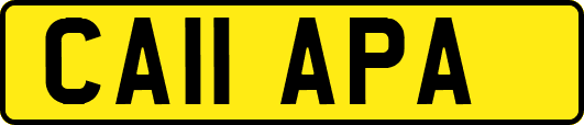 CA11APA