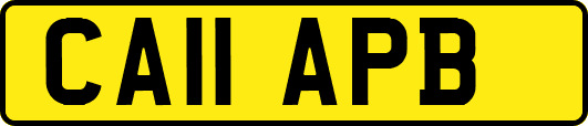 CA11APB