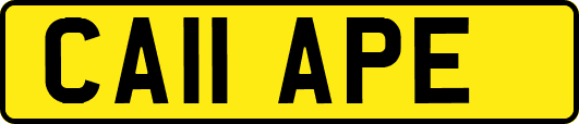 CA11APE