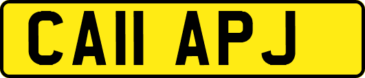 CA11APJ