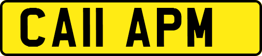 CA11APM