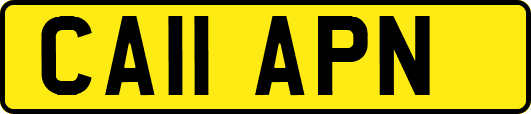 CA11APN
