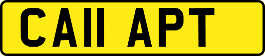 CA11APT