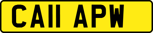 CA11APW