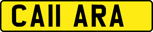 CA11ARA