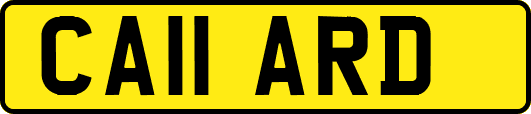 CA11ARD