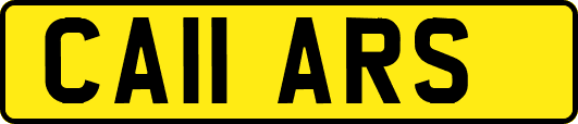 CA11ARS