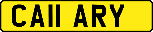 CA11ARY