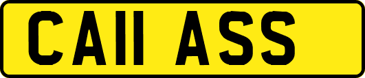 CA11ASS