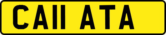 CA11ATA