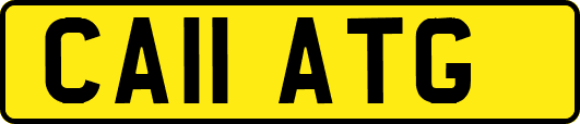 CA11ATG