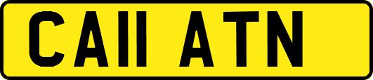 CA11ATN