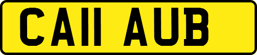 CA11AUB