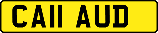 CA11AUD