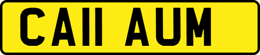 CA11AUM