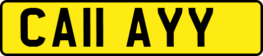 CA11AYY