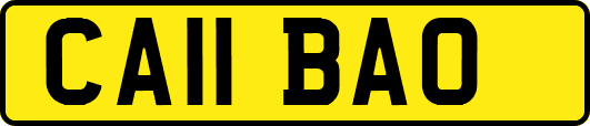 CA11BAO