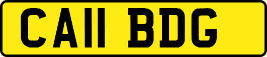 CA11BDG