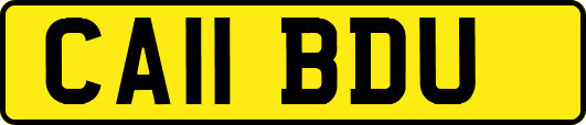 CA11BDU