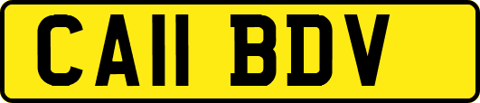 CA11BDV