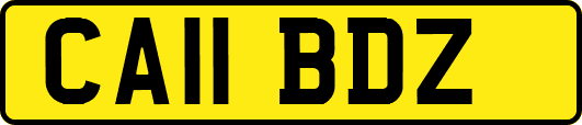 CA11BDZ