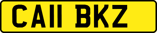 CA11BKZ