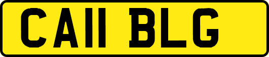 CA11BLG