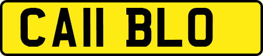 CA11BLO