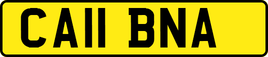 CA11BNA