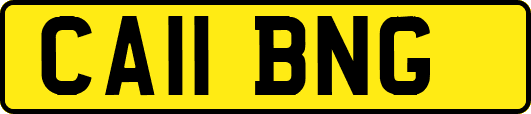 CA11BNG