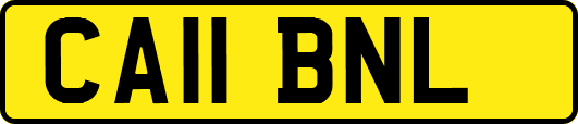 CA11BNL