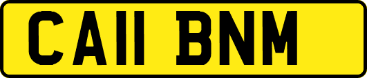 CA11BNM