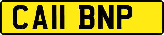 CA11BNP