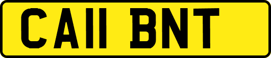 CA11BNT