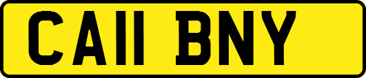 CA11BNY