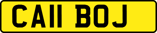 CA11BOJ
