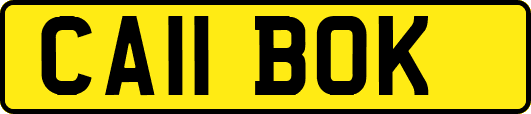 CA11BOK