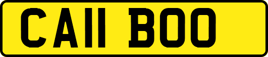 CA11BOO