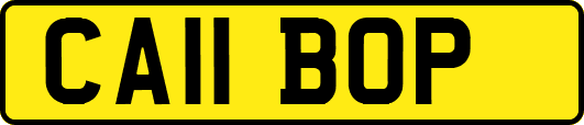 CA11BOP
