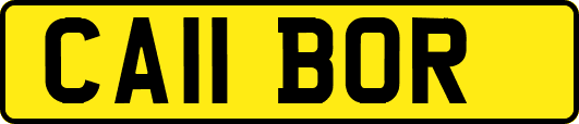 CA11BOR