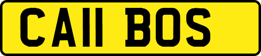 CA11BOS