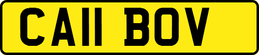 CA11BOV